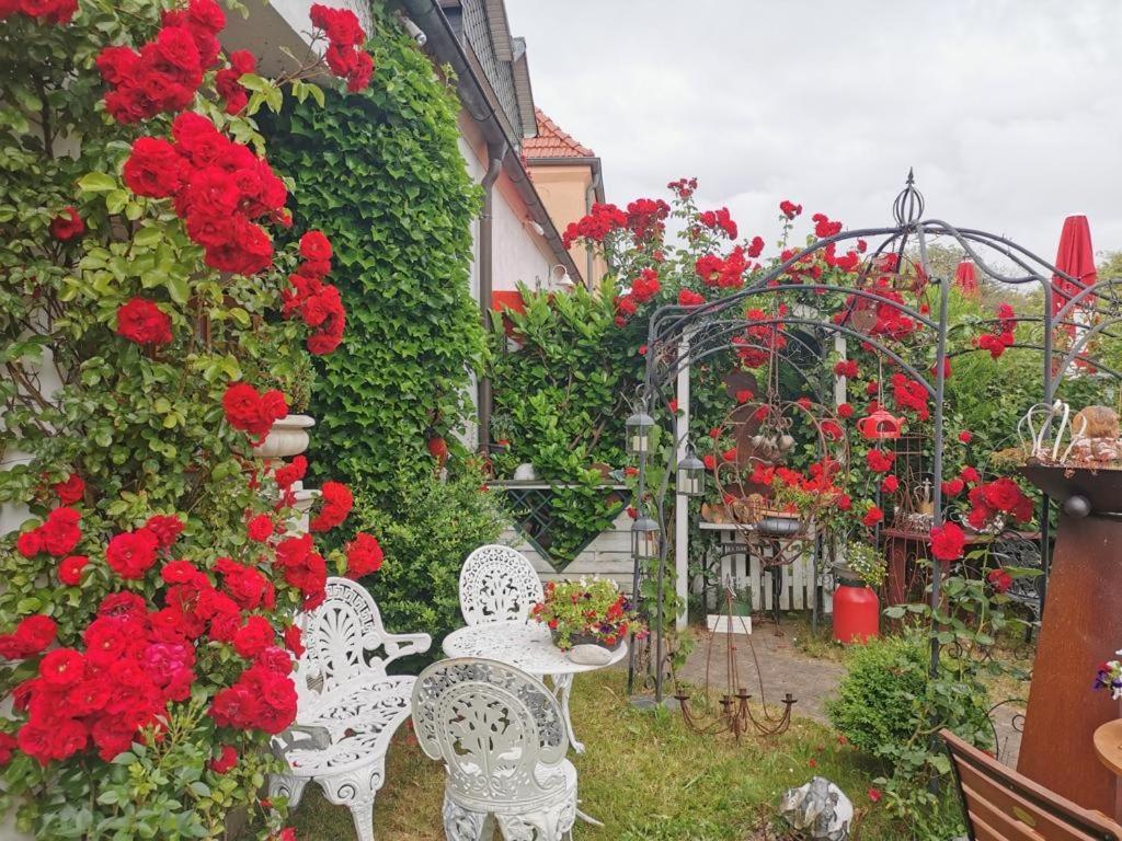 Cafesahne U Pension Dranske Exterior photo